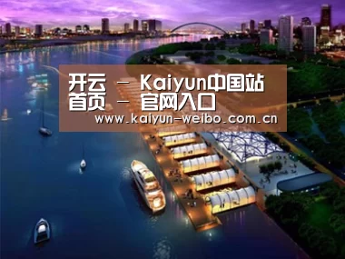 案例展示八